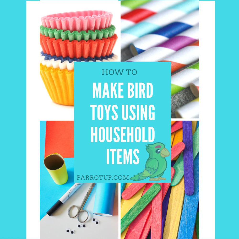 Homemade bird toys best sale