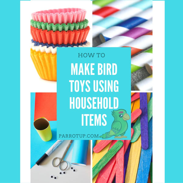12 Household Items You Can Use for Parrot Toys