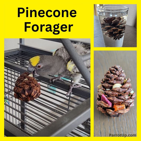 Easy Pinecone Forager