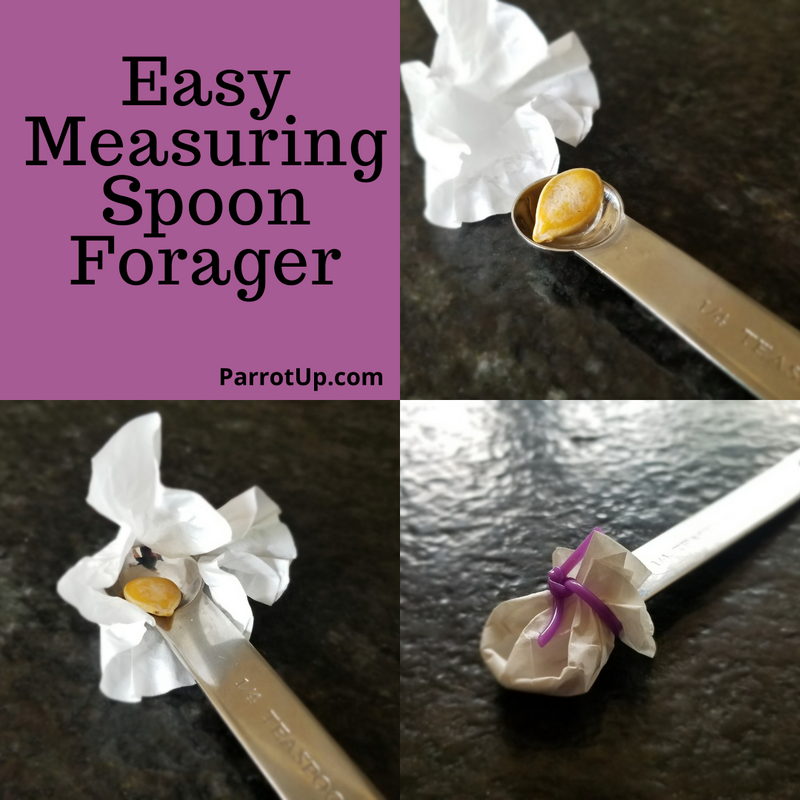 Easy Measuring Spoon Forager