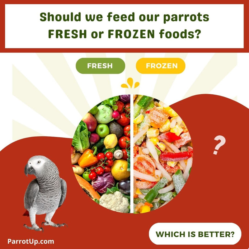 Fresh Versus Frozen Foods for Your Parrot.  Which is best?