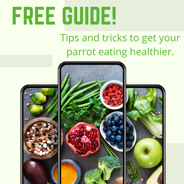 Survival Guide to A Picky Parrot: How to get your parrot eating more ...