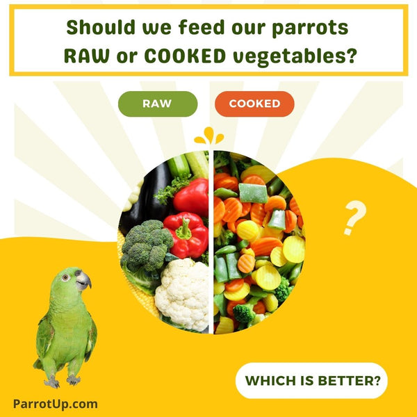 Raw Versus Cooked Foods for Your Parrot.  Which is best?