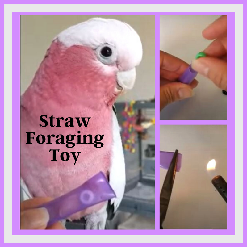 Straw Foraging Toy
