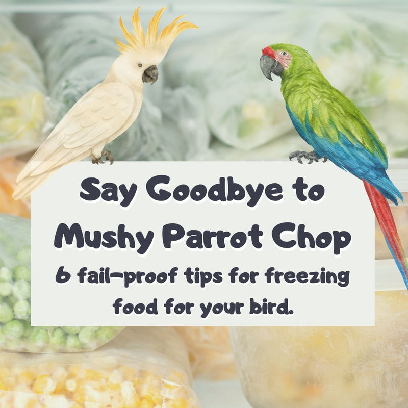 Say Goodbye to Mushy Parrot Chop: 6 fail-proof tips for freezing food for your bird.